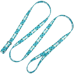 5ft Slip-Lead Leash Blue Bones by Groom Loop