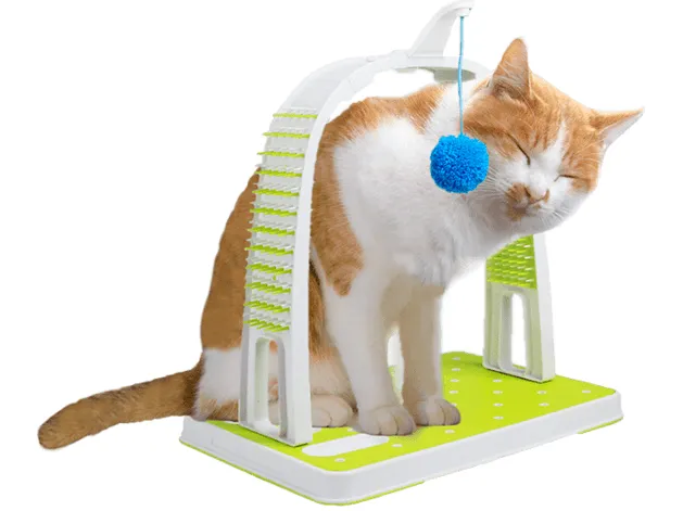 AFP Interactives-Grooming  Arch