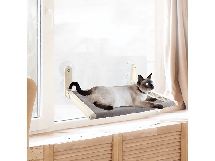 AFP Window Foldable Lounge