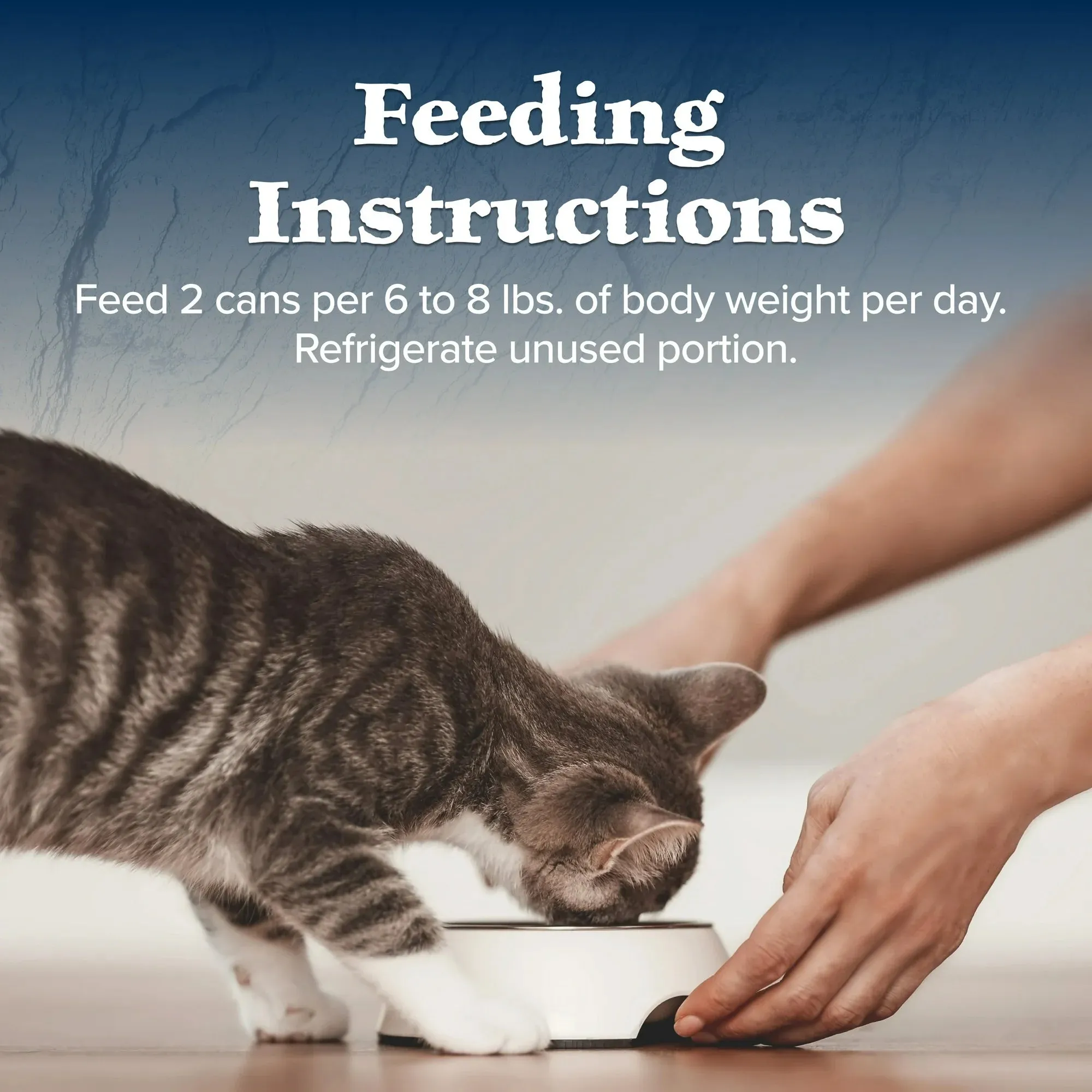Blue Buffalo Wilderness High-Protein Adult Cat Wet Food, Duck, 3-oz. Can