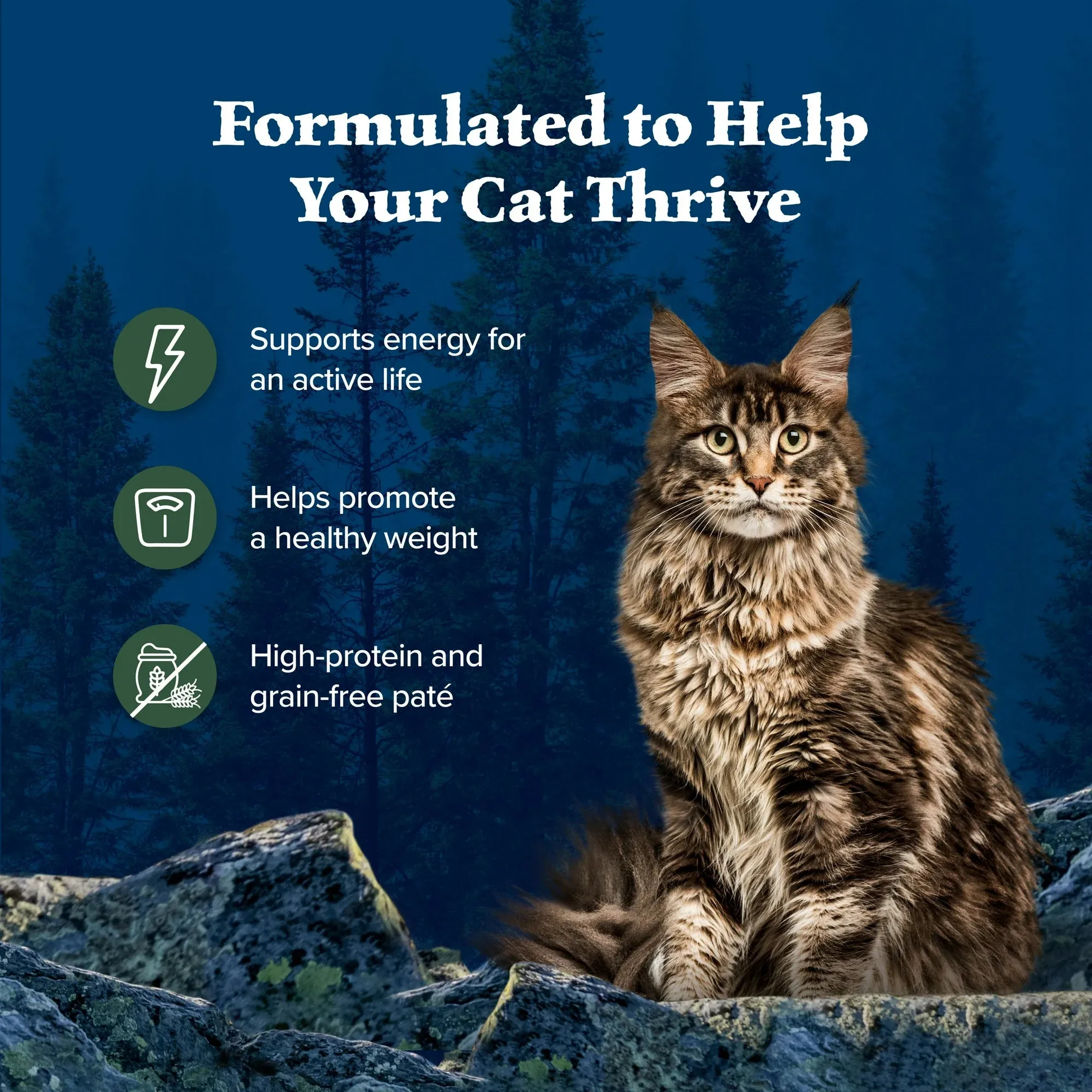 Blue Buffalo Wilderness High-Protein Adult Cat Wet Food, Duck, 3-oz. Can