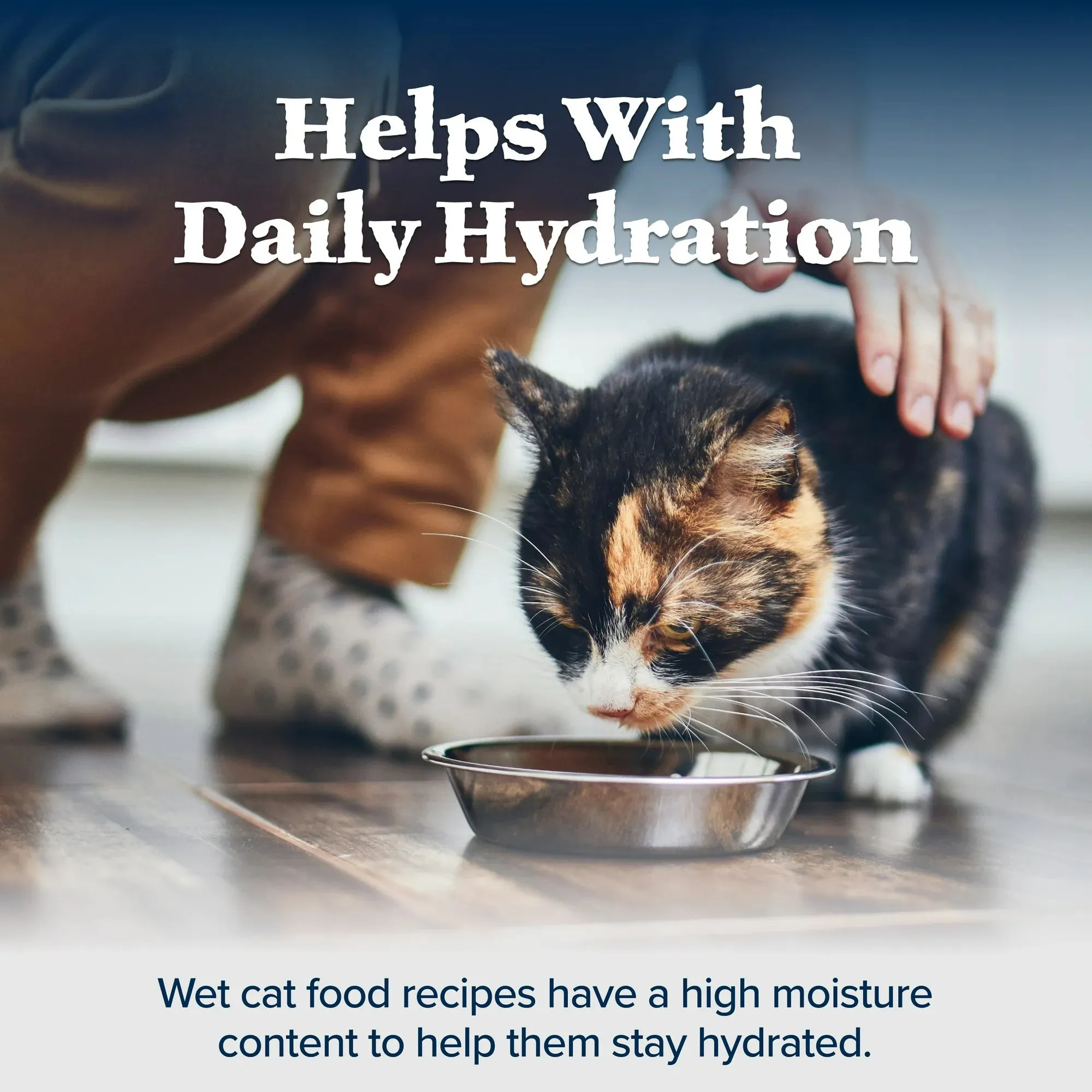 Blue Buffalo Wilderness High-Protein Adult Cat Wet Food, Duck, 3-oz. Can