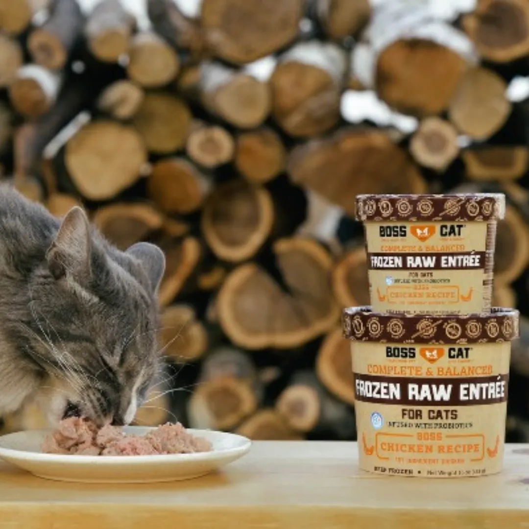 Boss Cat Frozen Raw Entree Chicken Cat Food