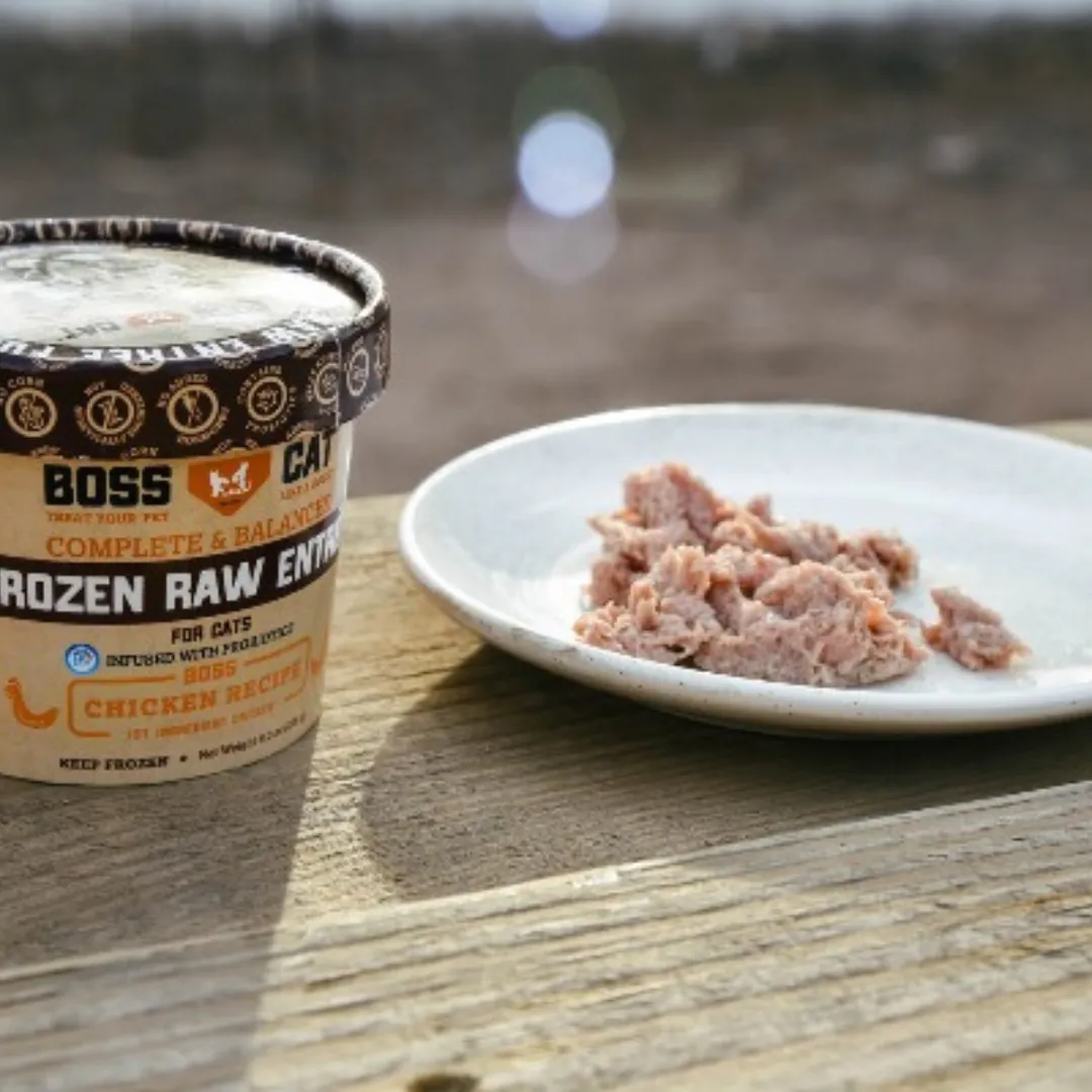 Boss Cat Frozen Raw Entree Chicken Cat Food