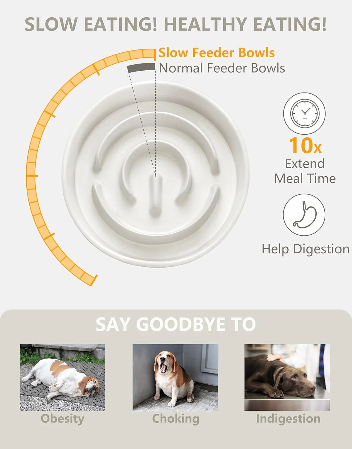Ceramic Slow Feeder Dog Bowls Elevated, 0.6 Cup Slow Feeder for Small Dogs and Cats, Puzzle Maze Bowl, Prevents Choking, 6in, White