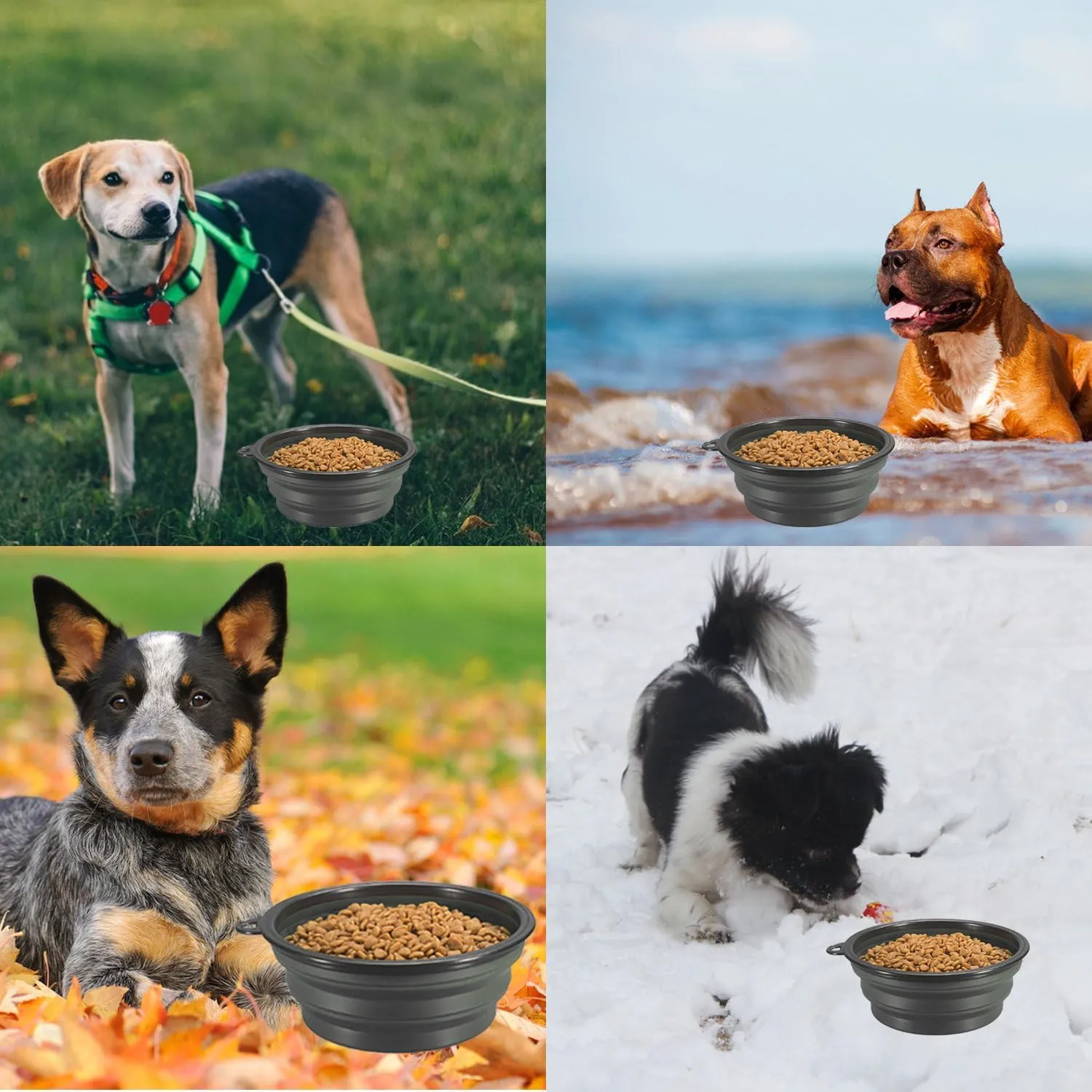 Collapsible Dog Bowls, 2-Pack Foldable Expandable Cup Dish for Pet Cat Hiking Food Water Feeding Dog Travel Bowl