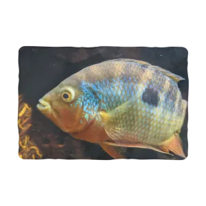 Colorful Fish Sublimation Pet Blanket