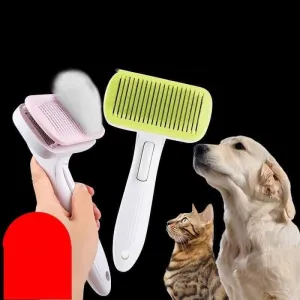 dog grooming large beauty