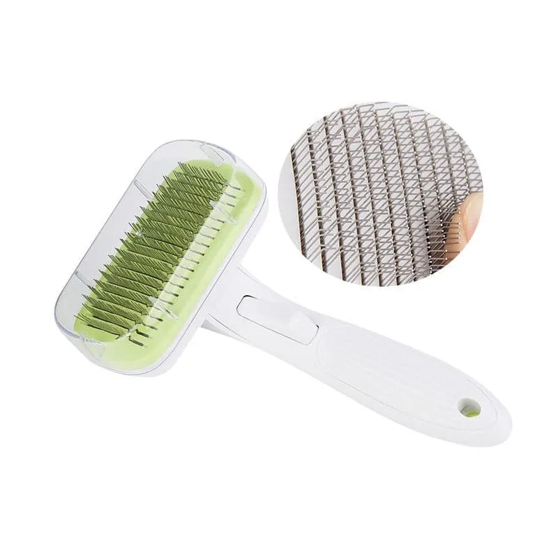 dog grooming large beauty
