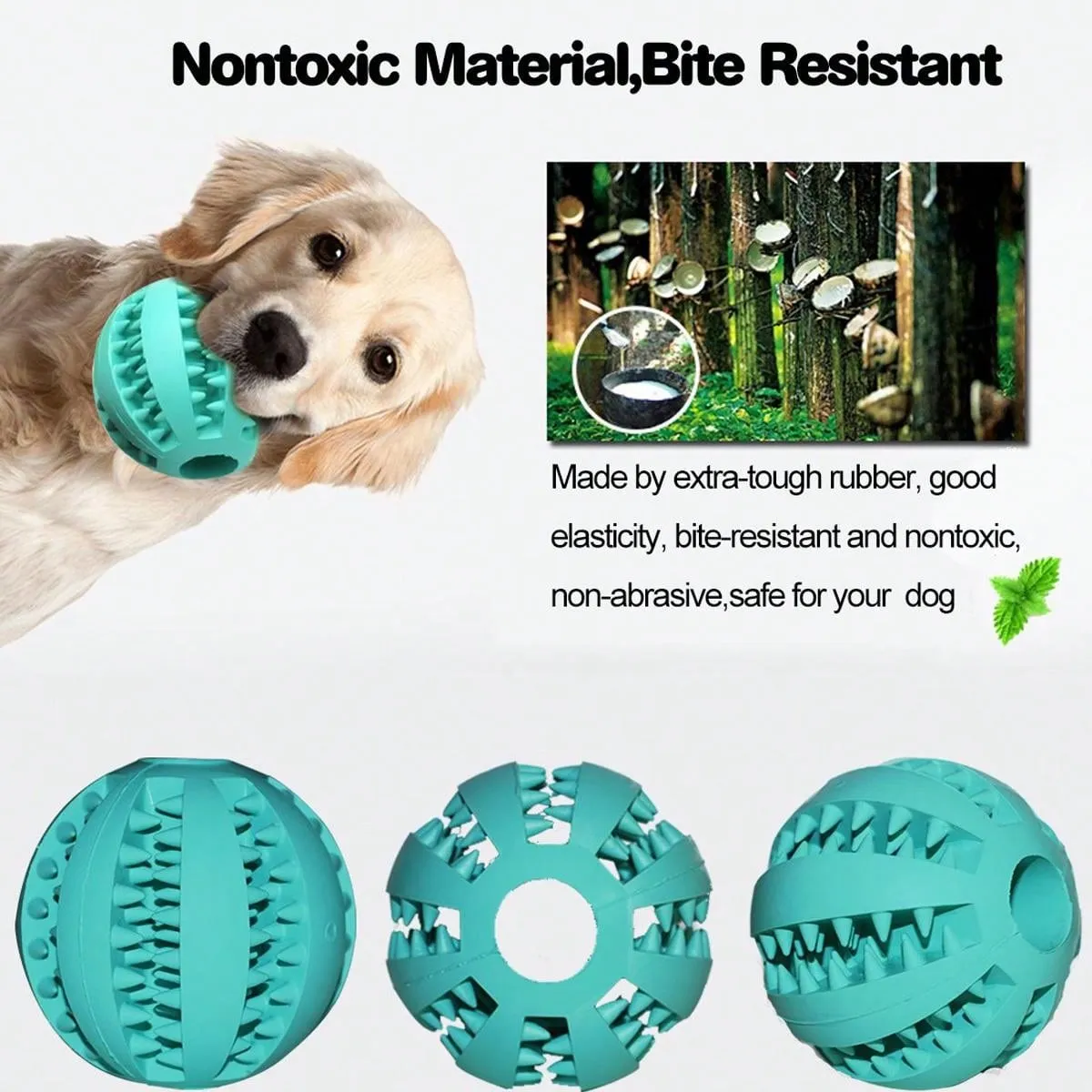 Dog Toy Ball, Nontoxic Bite Resistant Toy Ball for Pet Dogs Puppy Cat