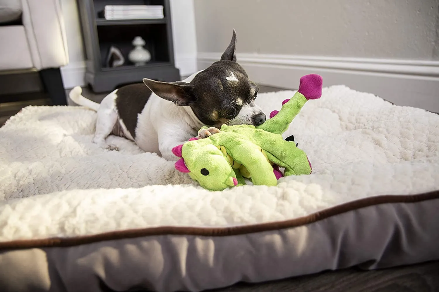 Dragon - Plush Squeaker - Dog Toy - Color Varies