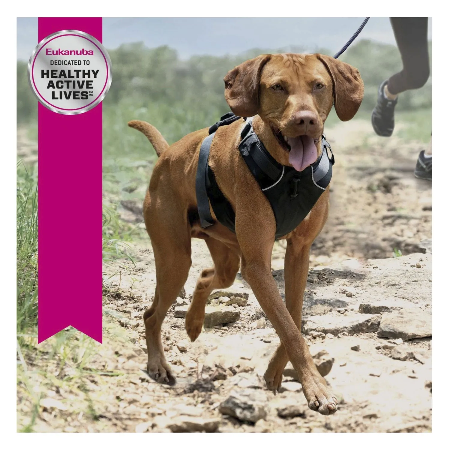 Eukanuba Performance Exercise 26/16 Adult Dry Dog Food 15kg