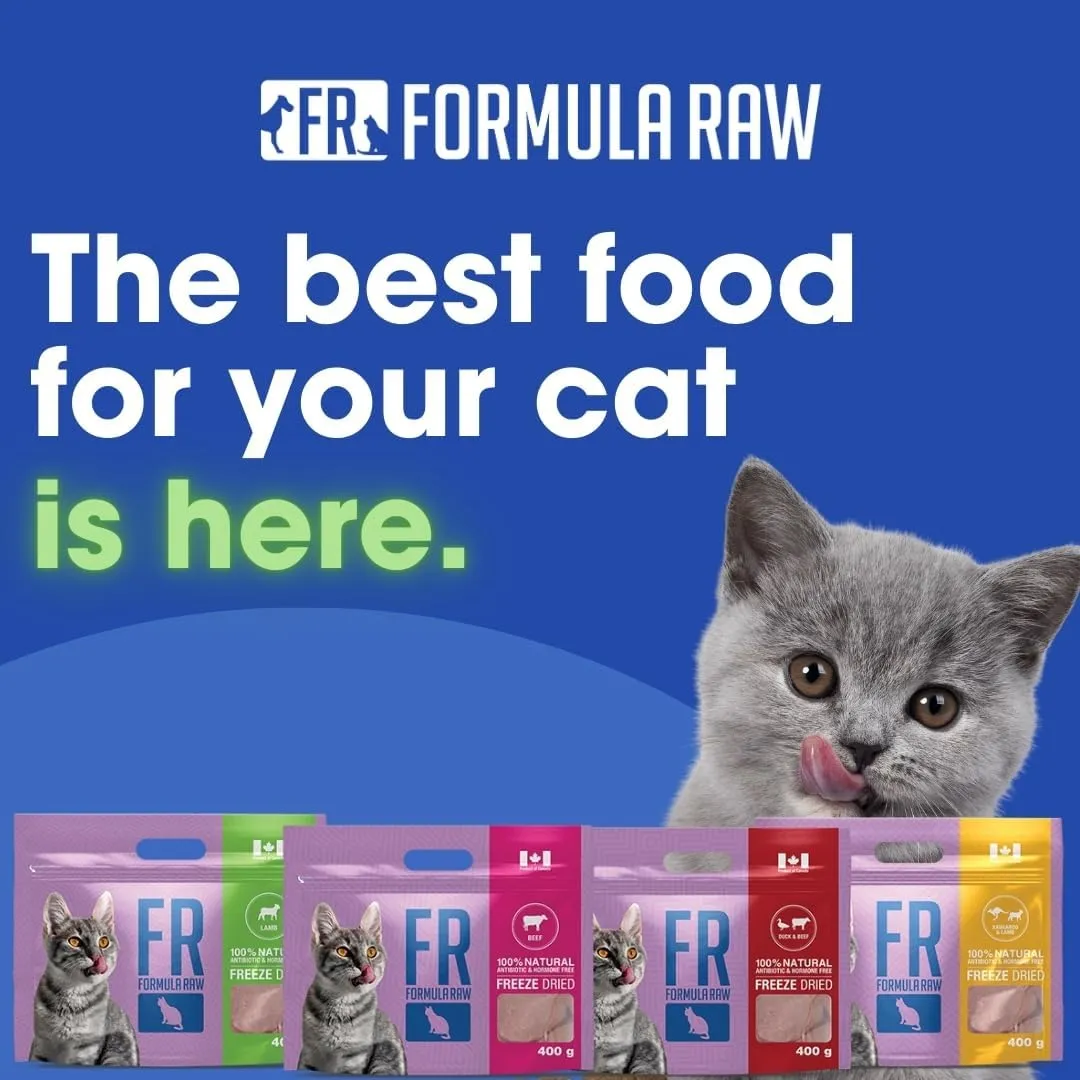 Freeze-Dried Raw Cat Food - Lamb Formula, High Protein, Grain-Free, Whole Ingredients, No Additives - Supports Healthy Digestion, Coat, and Joints