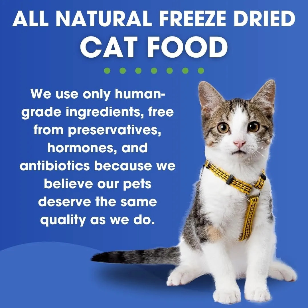 Freeze-Dried Raw Cat Food - Lamb Formula, High Protein, Grain-Free, Whole Ingredients, No Additives - Supports Healthy Digestion, Coat, and Joints