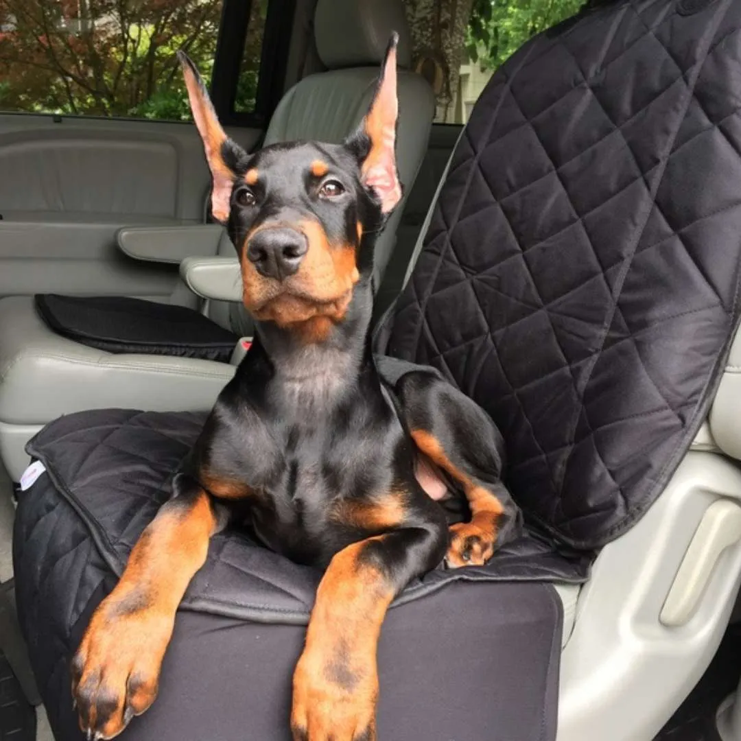 Front Seat (Bucket Seat) Cover