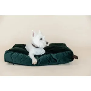 Kentucky Dog Pillow Velvet Pine Green