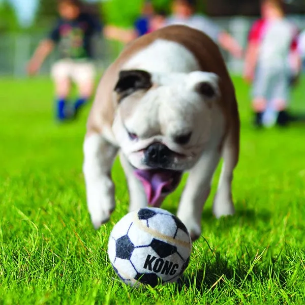 KONG Sport Balls - Medium