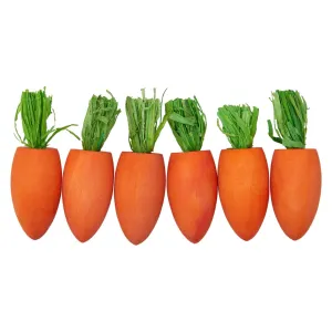 Lexi & Me Small Animal Wooden Chew Toy Carrot Patch 6 Pack