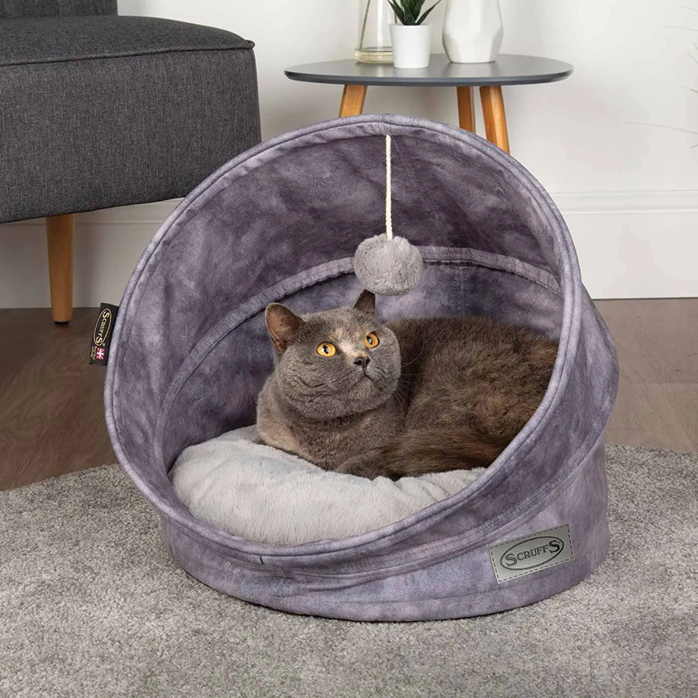 Luxury New Kitten Pack by Lords & Labradors
