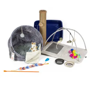 Luxury New Kitten Pack by Lords & Labradors