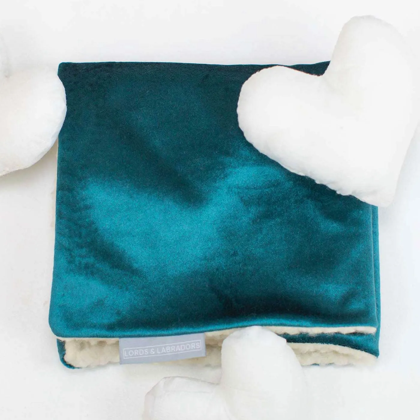 Luxury New Kitten Pack by Lords & Labradors