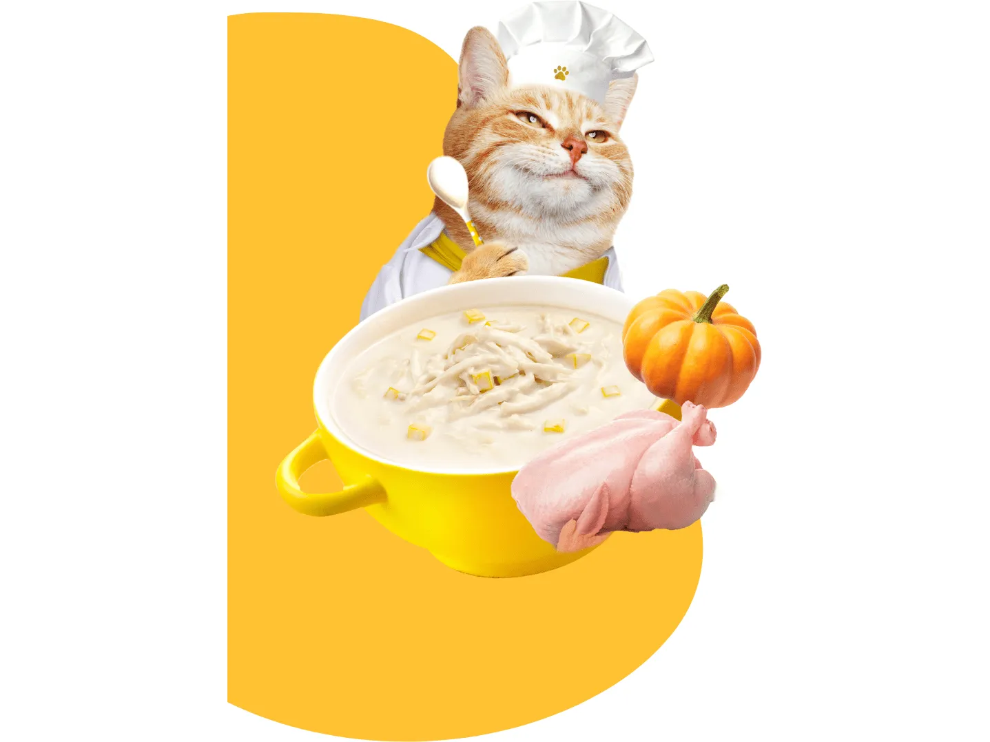 Moochie Broth Chicken & Pumpkin   40G  Pouch