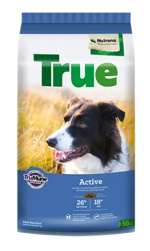 Nutrena True Active 26/18 Dog Food