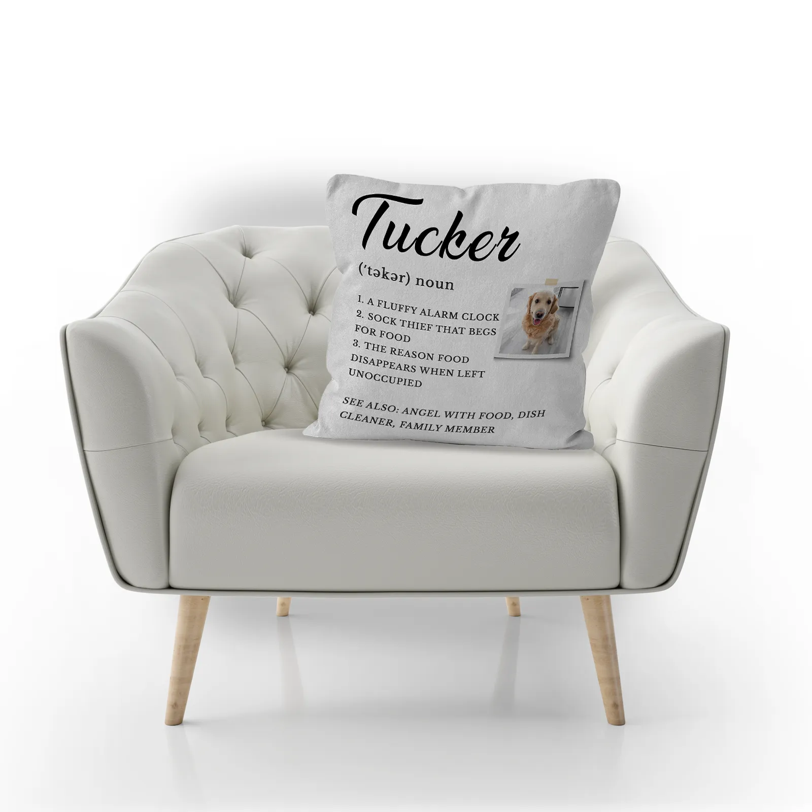 Personalized Dog Meaning Photo Pillow