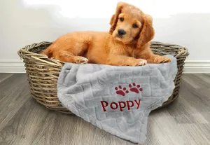 Pet Embossed Jacquard Flannel blanket