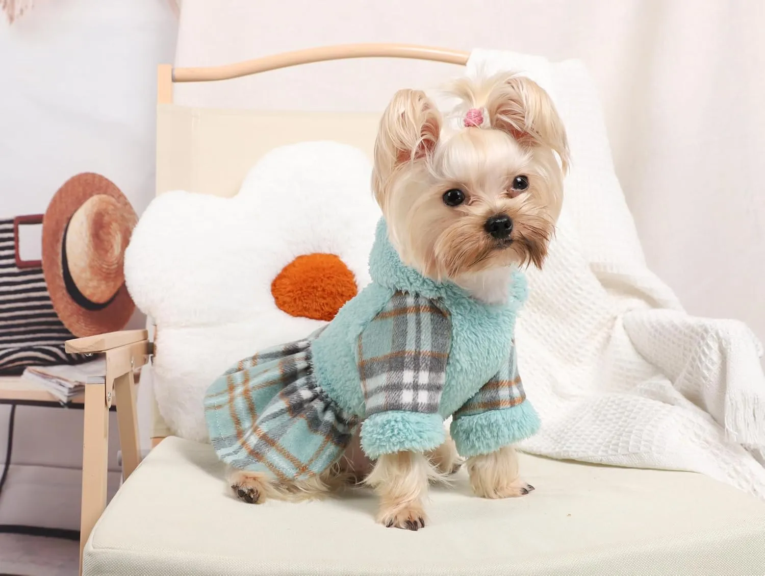 Pet Hoodie & Sweater for Small Dogs - Cold Weather Dog Coats & Sweatshirts (XX-Small, Green)