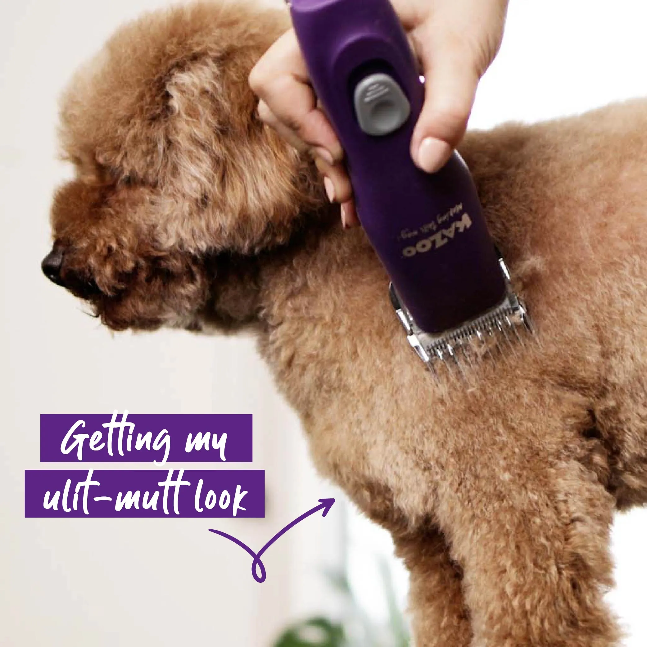 Pro Plus Brushless Dog Clipper
