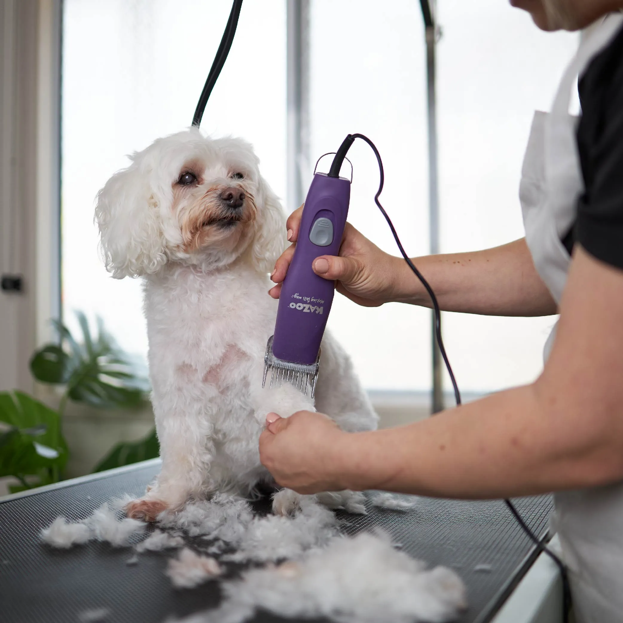Pro Plus Brushless Dog Clipper