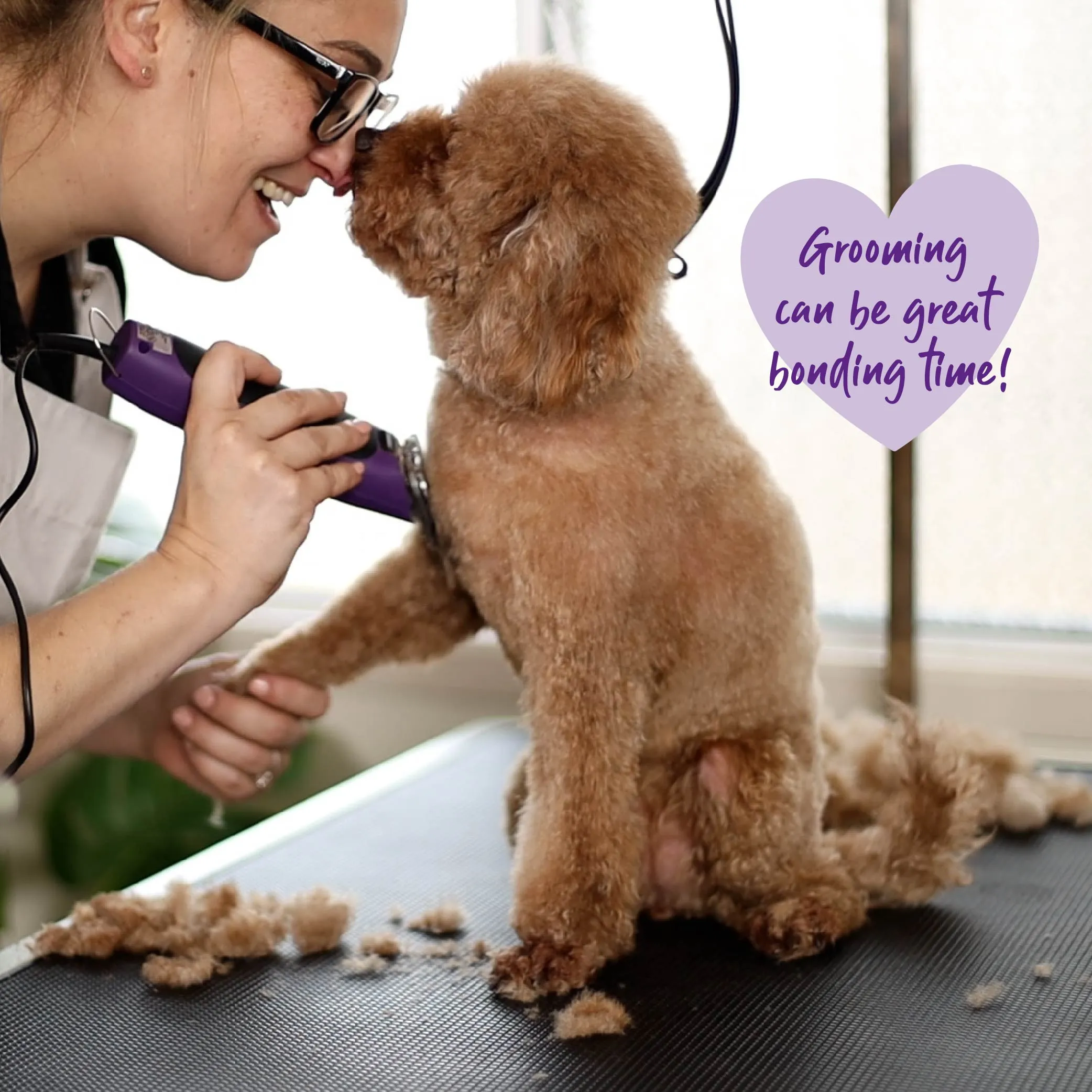 Pro Plus Brushless Dog Clipper