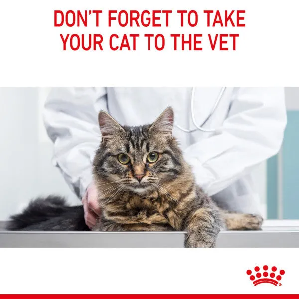 Royal Canin | Care | Dry Cat Food | Light Weight