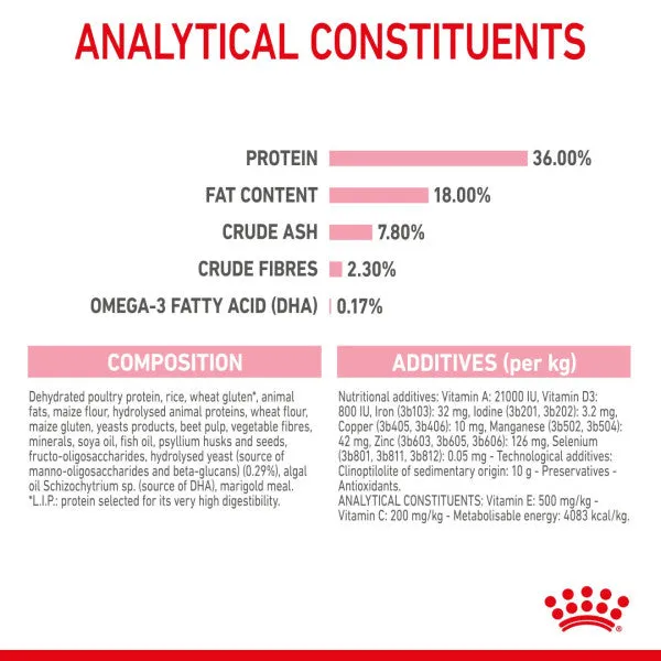 Royal Canin | Dry Cat Food | Kitten | Second Age Kitten