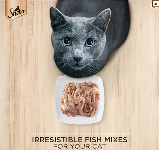 Sheba Fish with Sasami Premium Cat Wet Food and Sheba Chicken Flavour Irresistible All Life Stage Cat Dry Food Combo