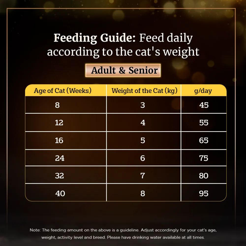 Sheba Fish with Sasami Premium Cat Wet Food and Sheba Chicken Flavour Irresistible All Life Stage Cat Dry Food Combo