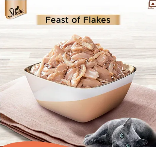 Sheba Fish with Sasami Premium Cat Wet Food and Sheba Chicken Flavour Irresistible All Life Stage Cat Dry Food Combo