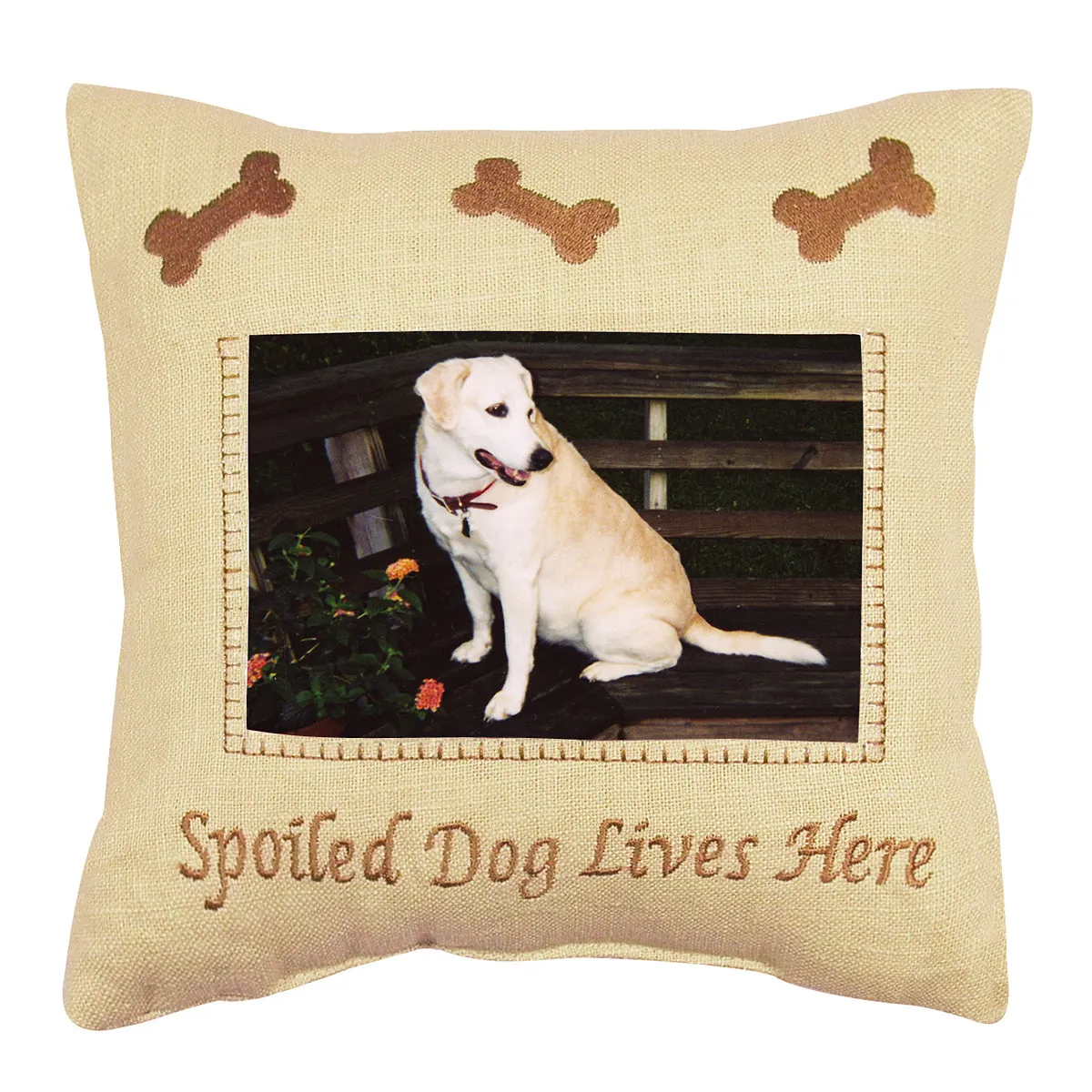 Spoiled Dog Mini Pillow