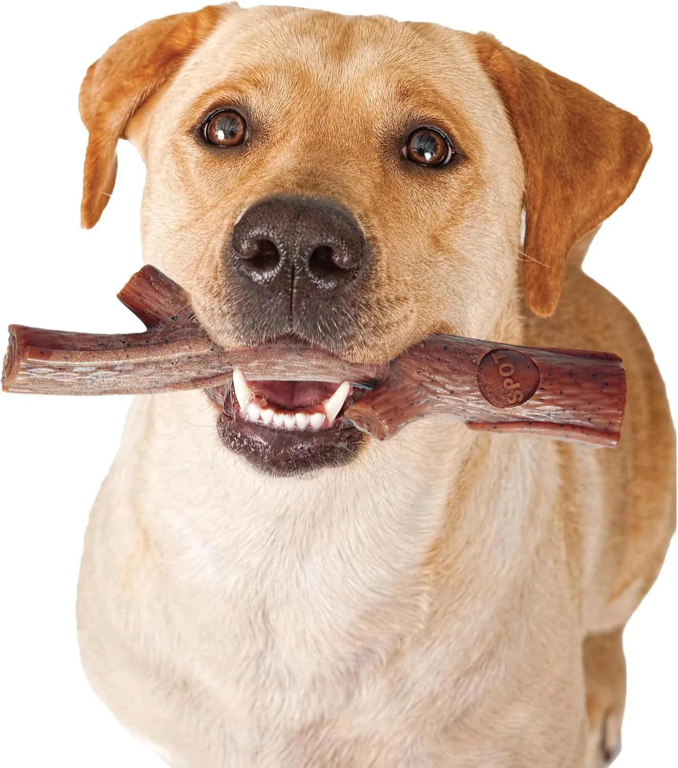 SPOT Bam-Bones plus Branch -Bamboo Fiber & Nylon, Durable Long Lasting Dog Chew for Aggressive Chewers – Great Toy for Adult Dogs & Teething Puppies under 90Lbs, Non-Splintering, 9.5In, Beef Flavor