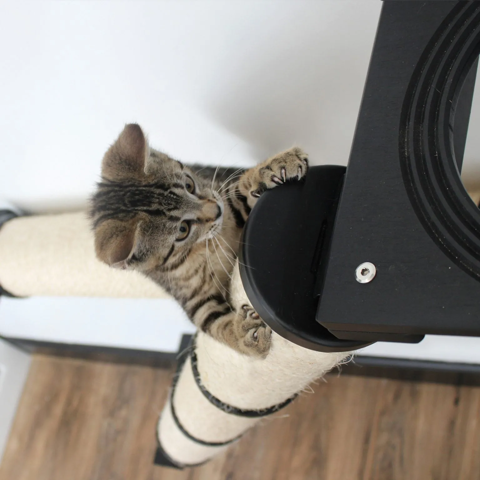 The Crossroads Wall Cat Scratcher - Cat Tree Condo - by Catastrophic Creations