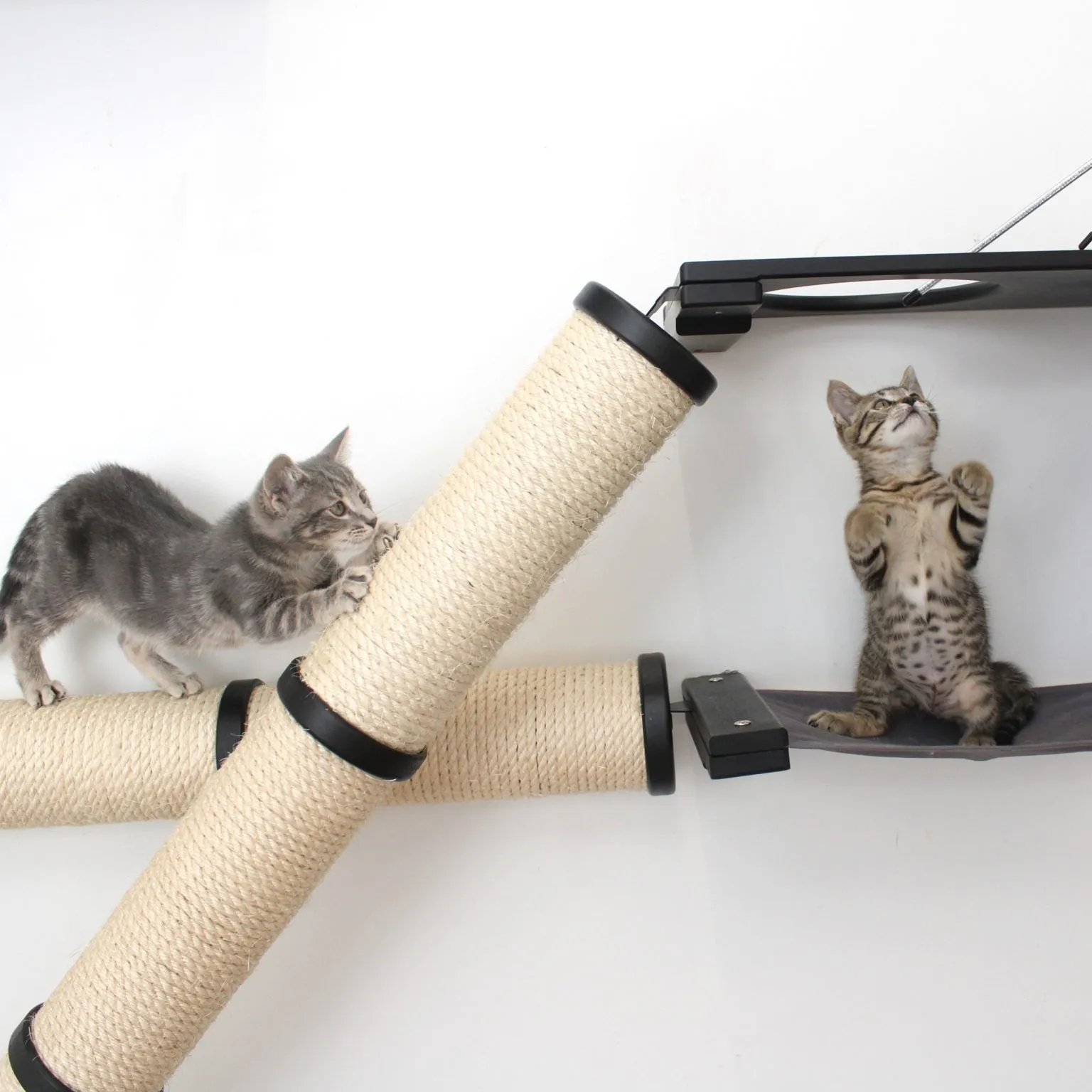 The Crossroads Wall Cat Scratcher - Cat Tree Condo - by Catastrophic Creations