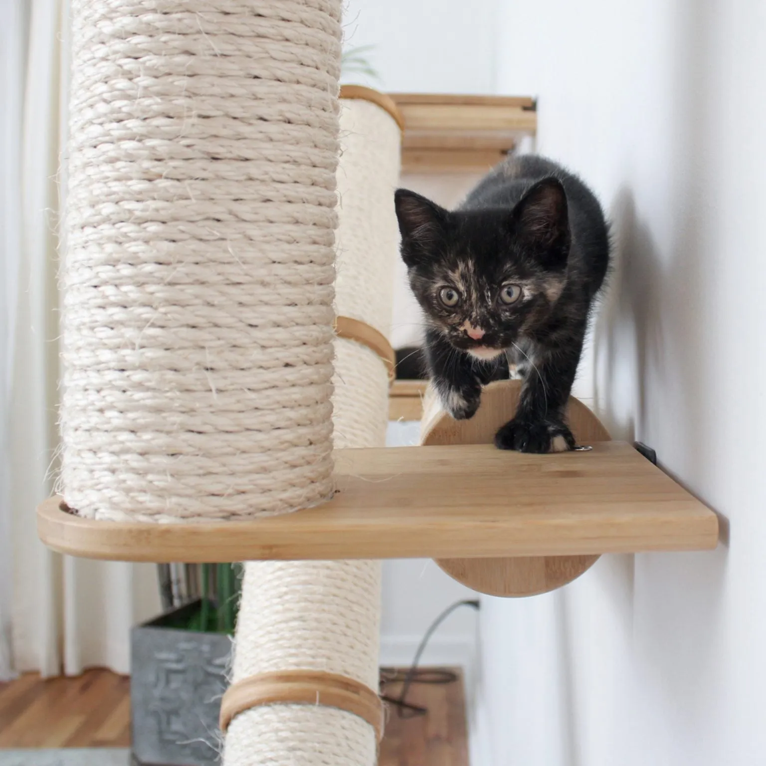 The Crossroads Wall Cat Scratcher - Cat Tree Condo - by Catastrophic Creations