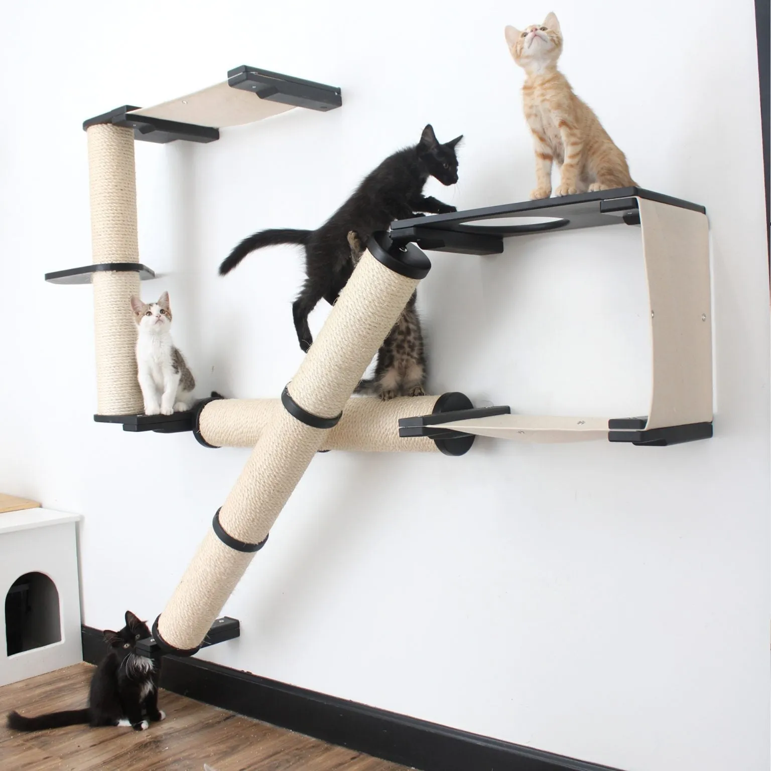 The Crossroads Wall Cat Scratcher - Cat Tree Condo - by Catastrophic Creations