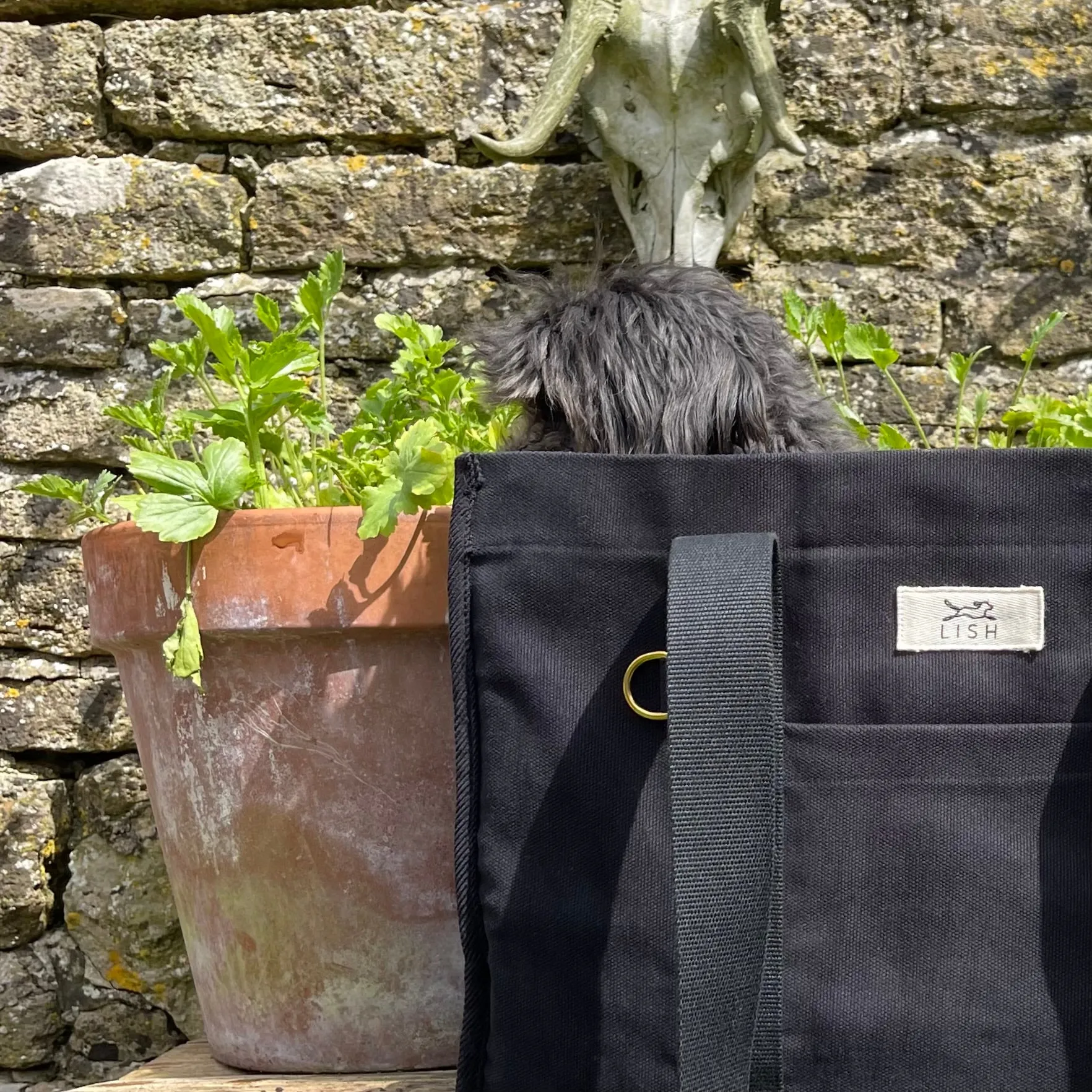 Watney Black Designer Tote Dog Carrier