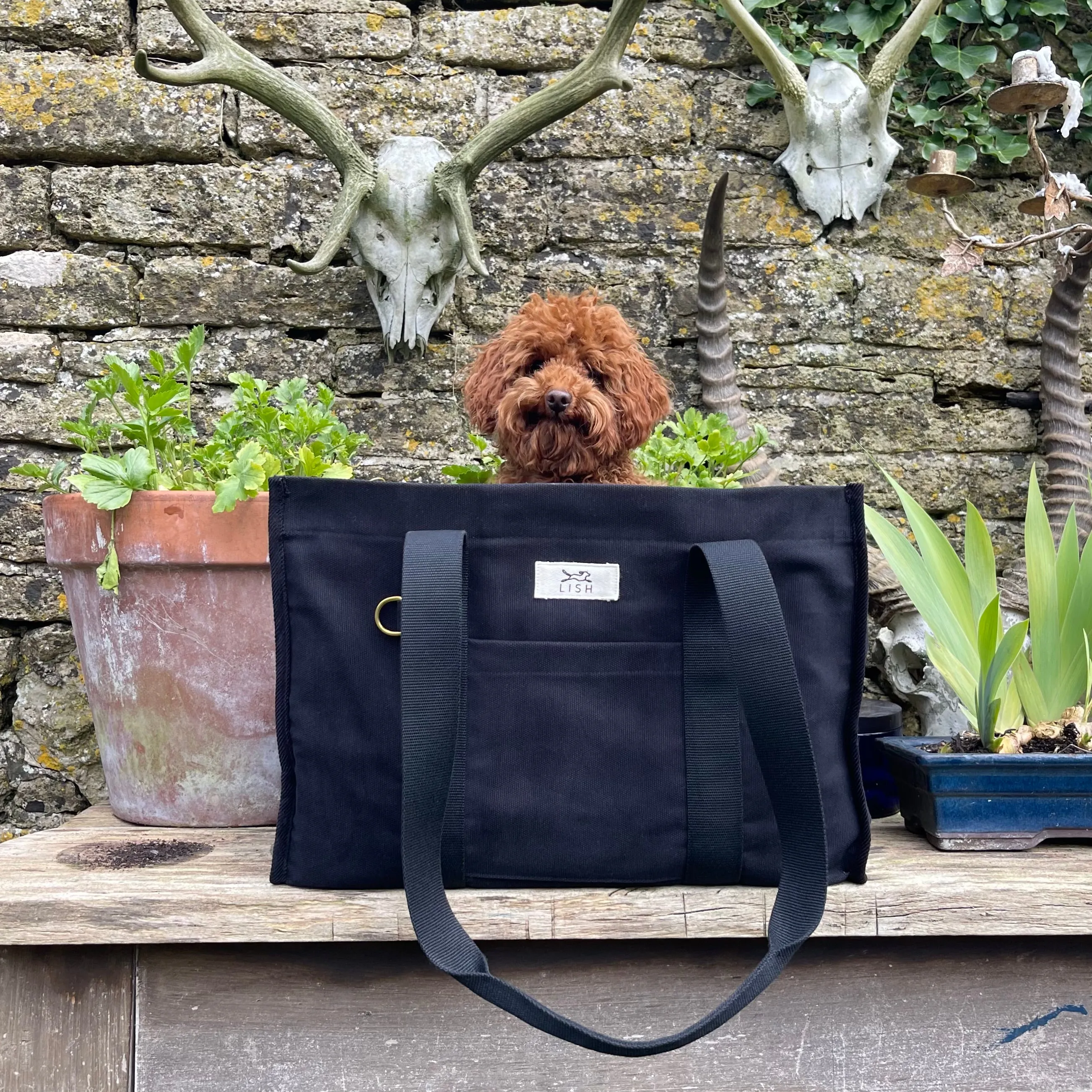 Watney Black Designer Tote Dog Carrier