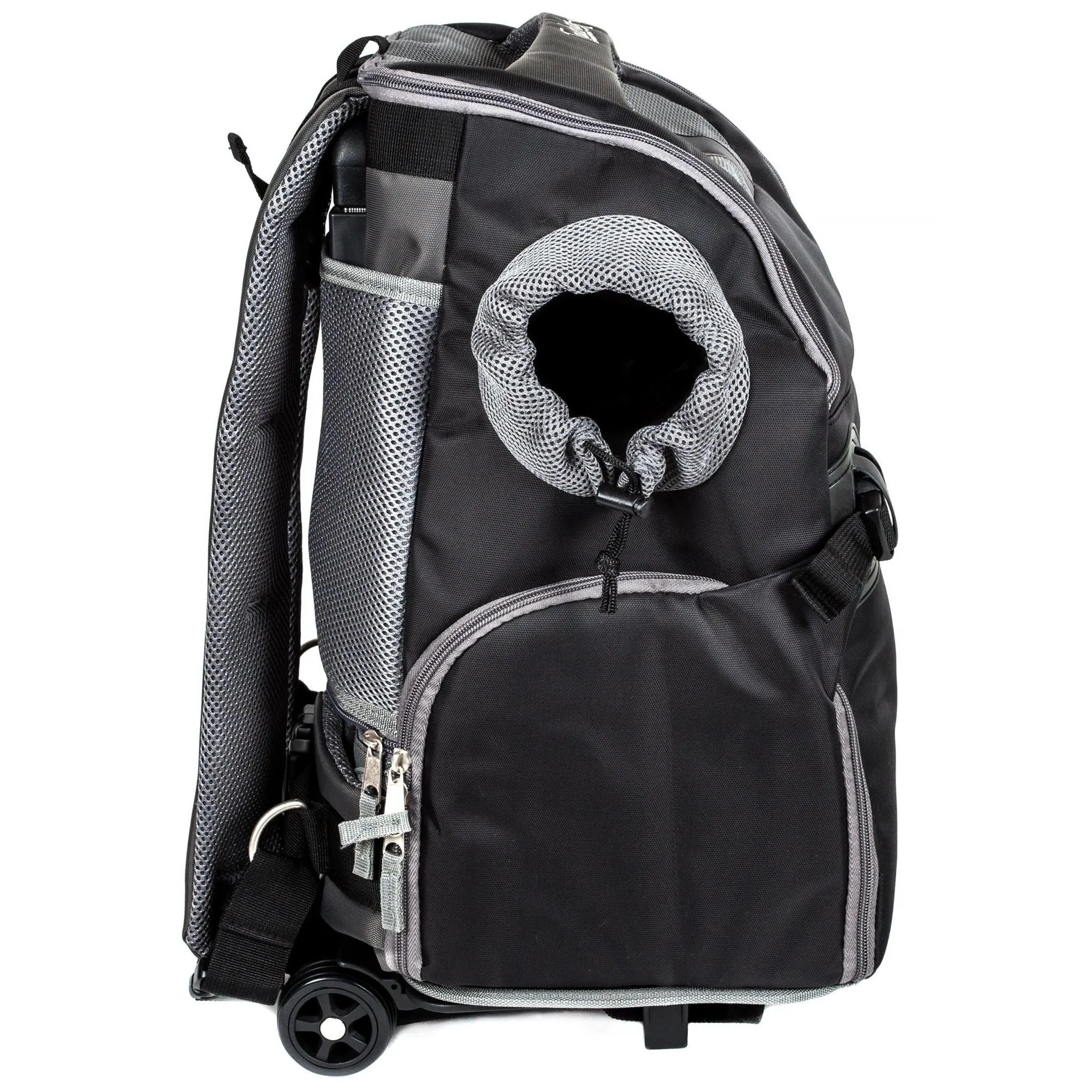 Wheeled Pet Carrier Transport